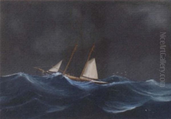 A Schooner Of The Royal Thames Yacht Club: At Sea by Luigi Roberto