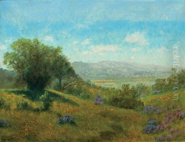 Poppies With Mt. Tamalpais In The Distance by Charles Dorman Robinson