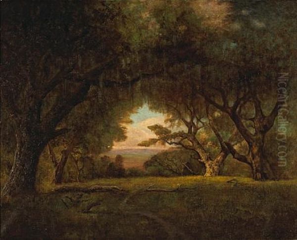 Sunset, California Oaks by Charles Dorman Robinson