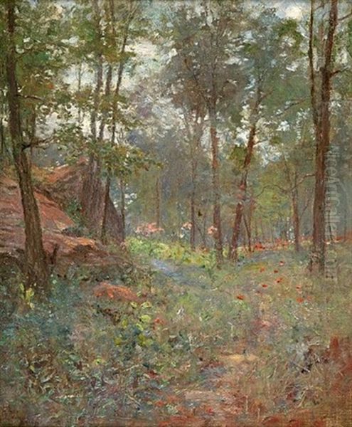 Spring Forest Interior by Hal Robinson