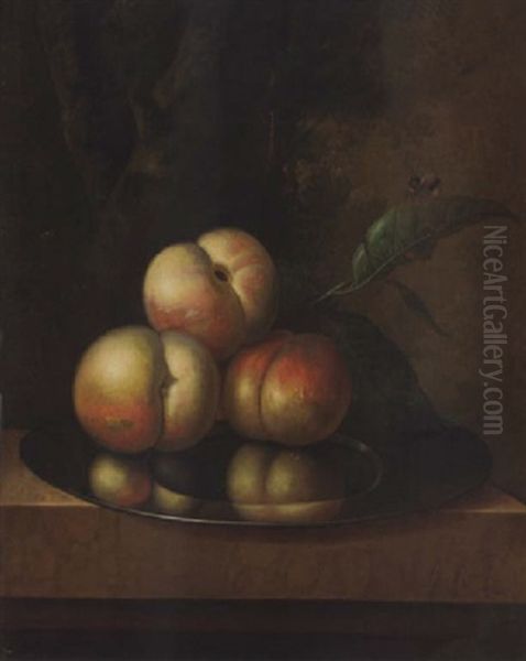 Peaches And A Bee On A Pewter Platter On A Marble Ledge, In A Wooded Landscape by Johannes Christianus Roedig