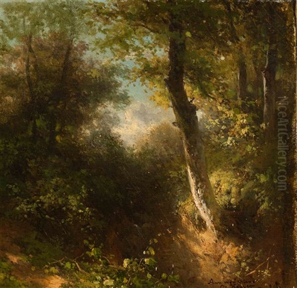 The Forest Path by Willem Roelofs