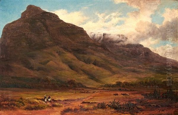 View Of Devil's Peak by Charles Rolando