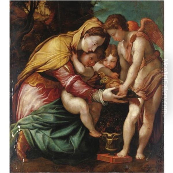 Madonna Del Pappagallo by Francesco del Rossi (Salviati)