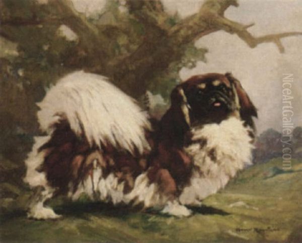 A Pekingese by Harry Rowntree