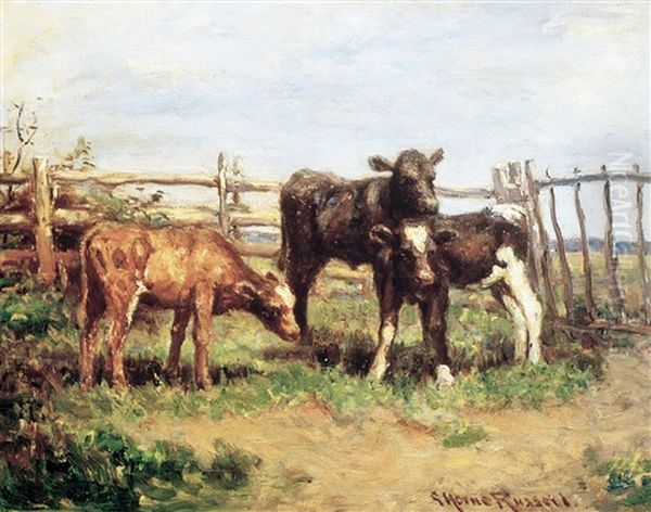 Calves by George Horne Russell