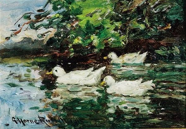 White Ducks by George Horne Russell