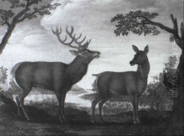 A Stag And Doe In A Wooded River Landscape by Carl Borromaus Andreas Ruthart