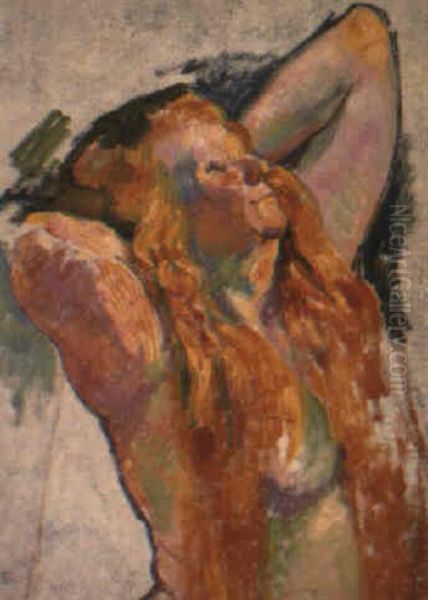 Femme Nue, Bras Eleves by Theo van Rysselberghe