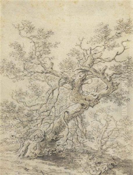 A Tree In A Wood by Herman Saftleven