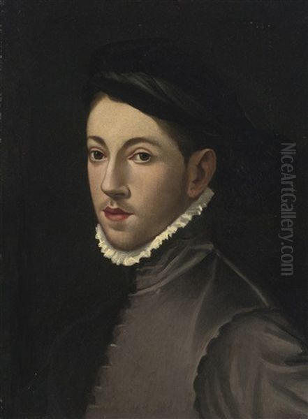 Portrait Of A Boy, Head And Shoulders by Alonso Sanchez Coello