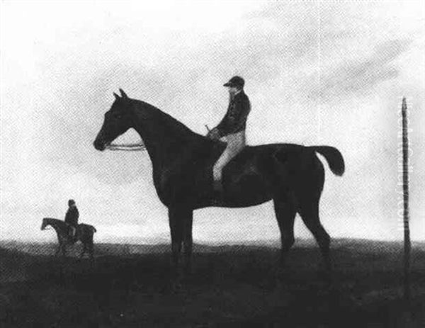 A Thoroughbred With Jockey Up by Francis Sartorius the Elder