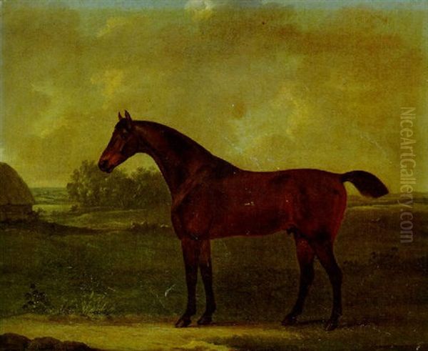 Horse In A Landscape by John Nost Sartorius