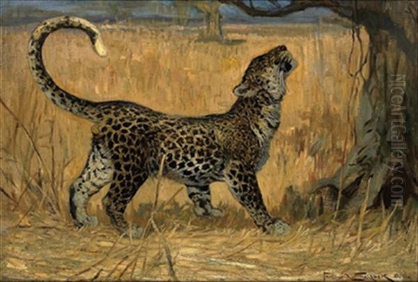 Leopard, Berlin by Ferdinand Schebek