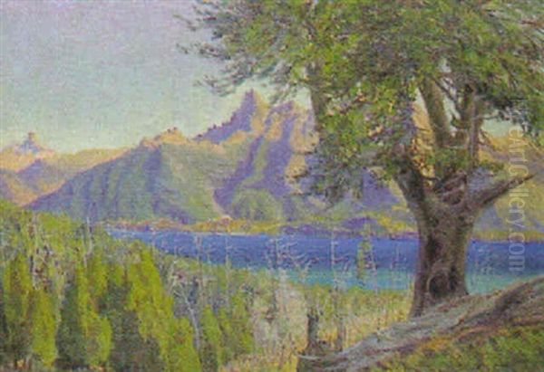 Bergsee In Argentinien (lago Nahuel Huapi) by Pablo (Poul) Schouboe