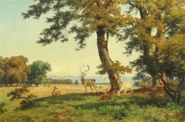 Deers At The Jaegersborg Dyrehave, North Of Copenhagen by Axel Thorsen Schovelin