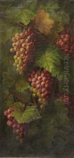 Grapes On A Vine by George W. Seavey