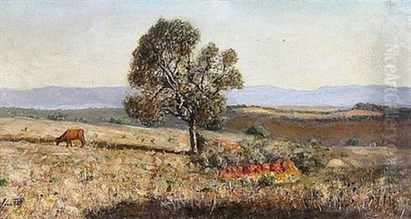 Paysage D'algerie by Joseph Sintes