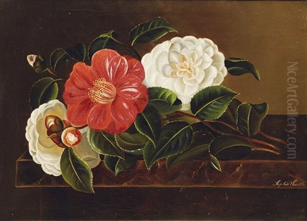 Still Life With Roses by Sophie Smith