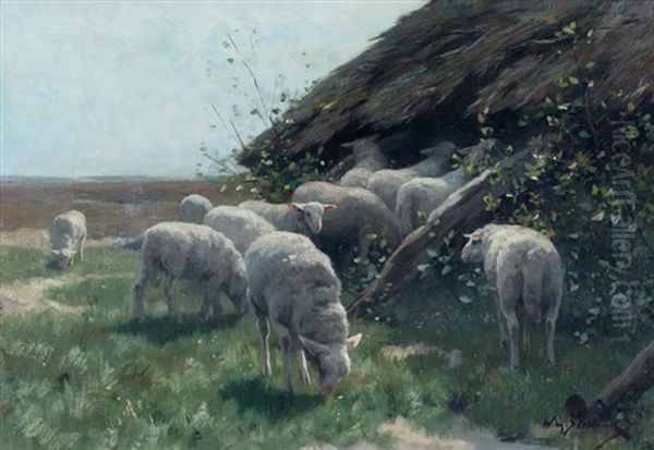 Lambs Near Fold by Willem Steelink