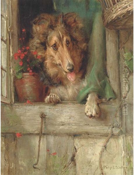 A Collie At A Window by Philip Eustace Stretton