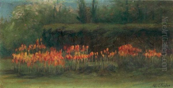 Tulips by Ida Taylor