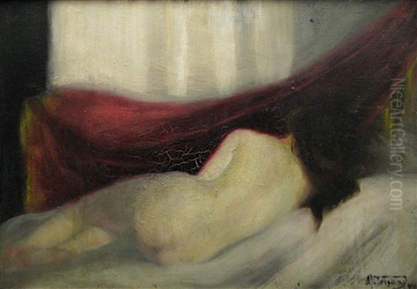 Nude Lying by Misu Teisanu