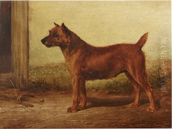 Irish Terrier by William Henry Hamilton Trood