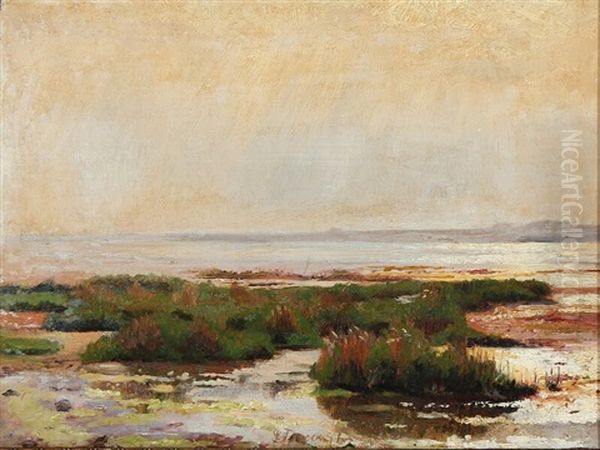 Sunshine At A Shallow Coast by Laurits Regner Tuxen