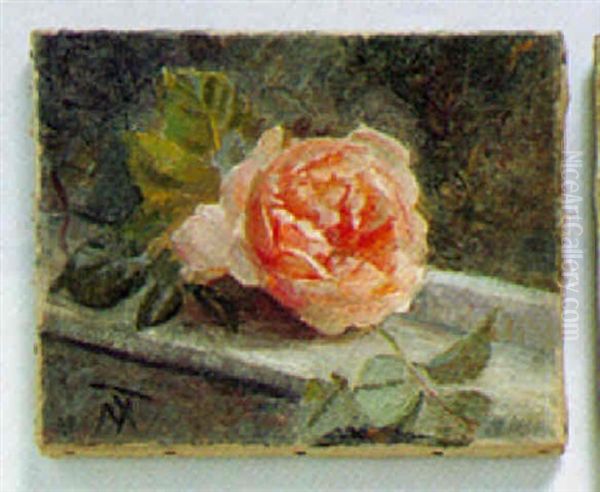 Lysrod Rose by Nicoline Tuxen