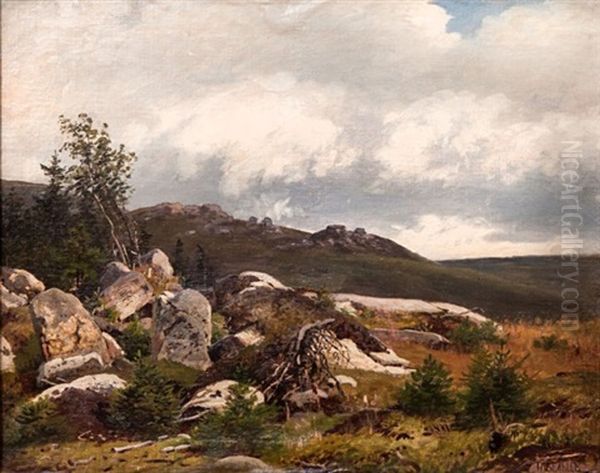 Landscape With Boulders by Ivan Augustovitch Veltz