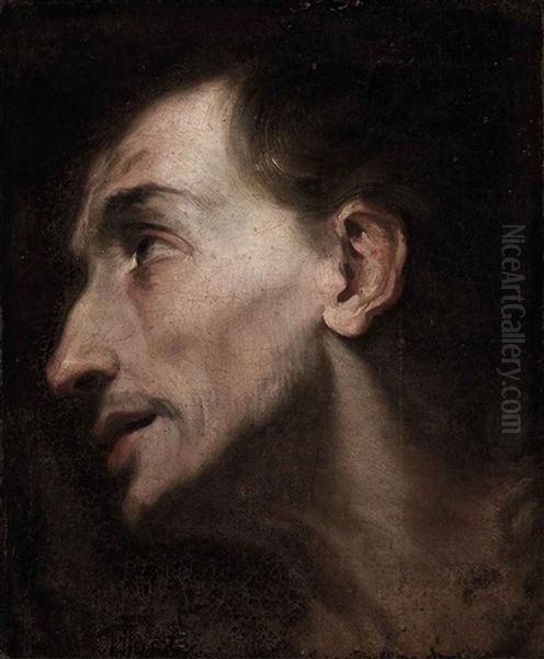 Head Of A Saint (study) by Carlo Vimercati