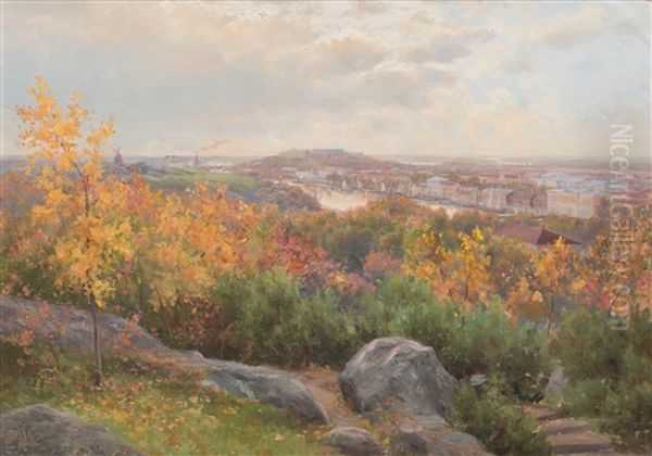 A View Of Turku by Karl Wahlstroem