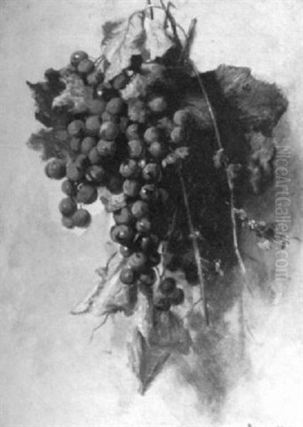 Still Life With Grapes by Alfred S. Wall