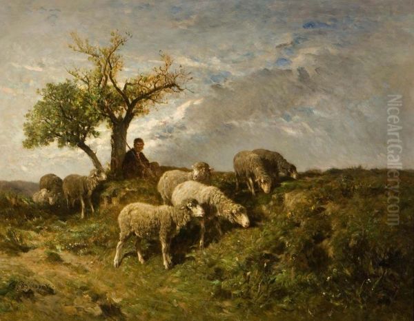 Sheep On A Hillside. by Franck Brissot