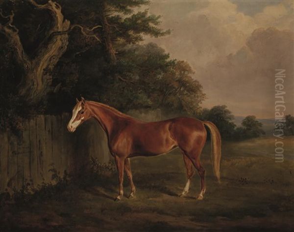 Kitty' A Horse In A Landscape by William Webb