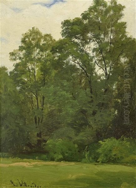 Trees At The Edge Of A Meadow by Ludwig Willroider