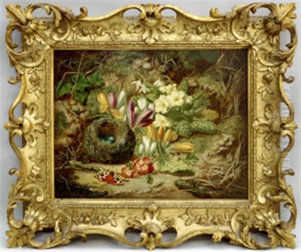 Still Life With Birds Nest, Butterfly And Primroses by Thomas Worsey