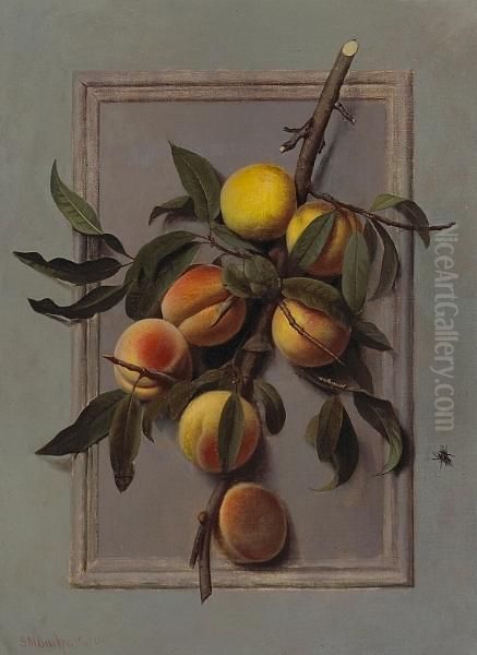 A Still Life With Peaches by Samuel Marsden Brookes