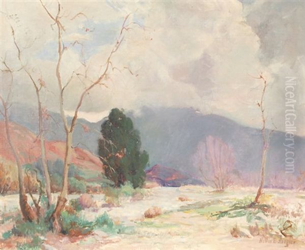 California Desert Landscape by Nellie Evelyn Ziegler