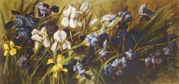 Irises by Julia Zsolnay