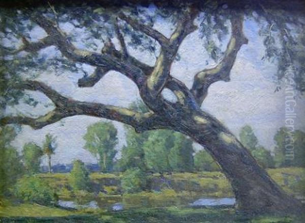 Live Oak, Coral Gables by Horace Brown