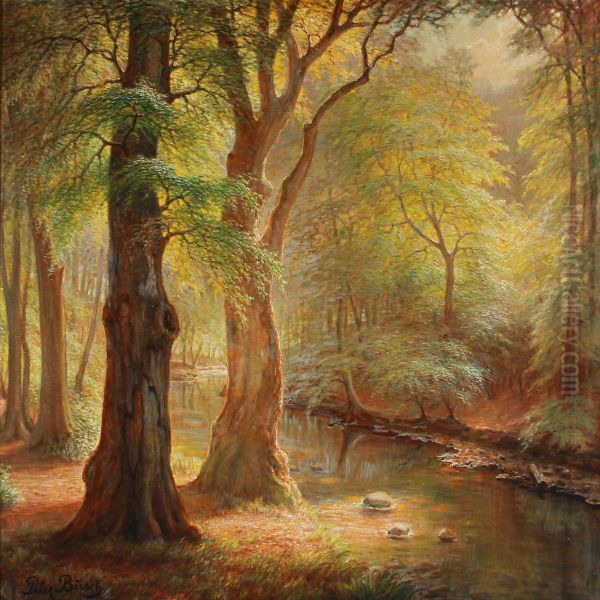 Stream In The Woods by Peter Busch