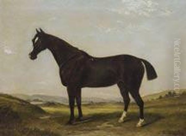 Horse In Landscape by Frederick Clarke