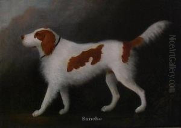 Portrait Of Sir Robert Williames Vaughan's Spaniel Sancho by Daniel Clowes