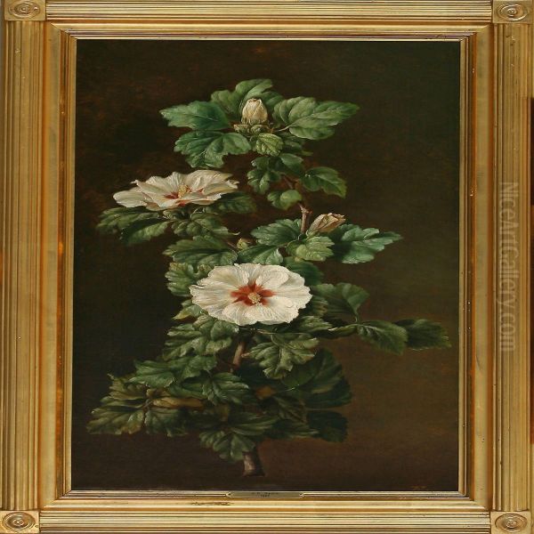 A Floweringhibiscus Branch by Johan Frederik Damm