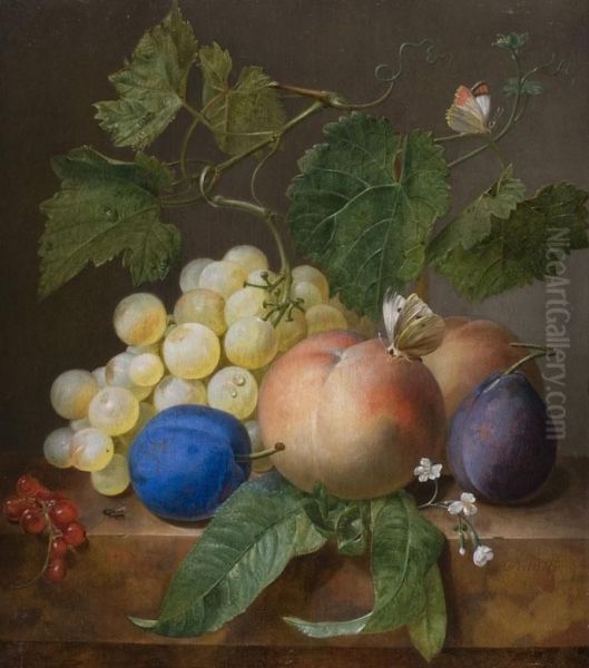 Stilleben Mit Fruchten Und Schmetterling by Jan Frans Eliaerts