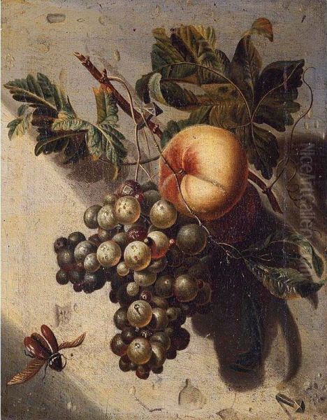 Still Life With Grapes And A Peach by Willem Grasdorp