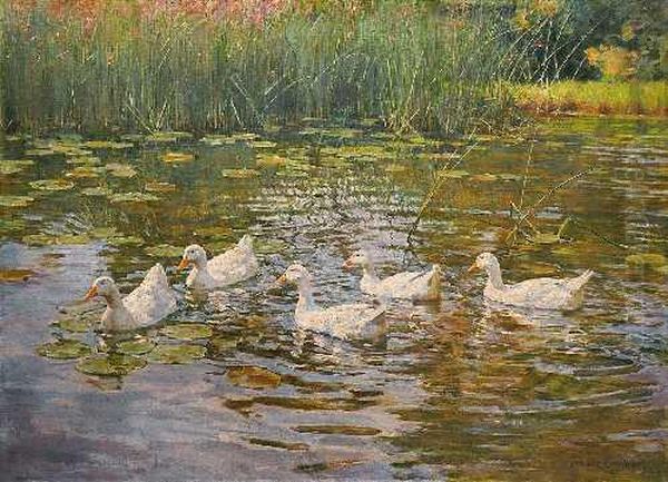 Funf Enten Im Seerosenteich by Franz Grassel