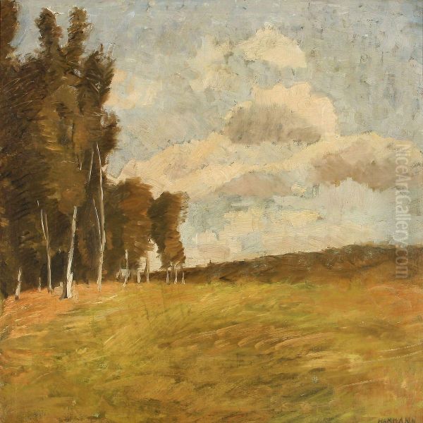 Summer Landscape by Marius Hammann